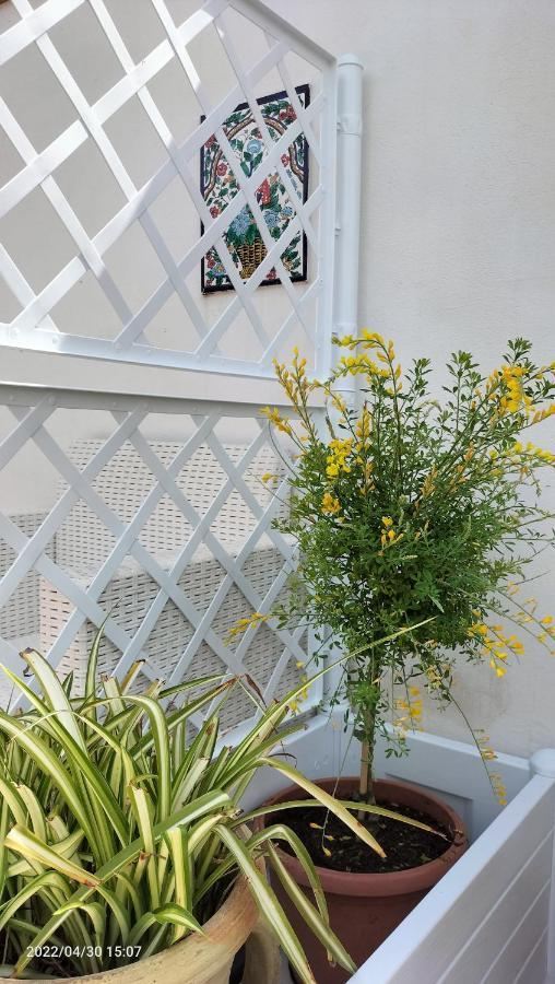 Villa con piscina Mazara del Vallo Esterno foto